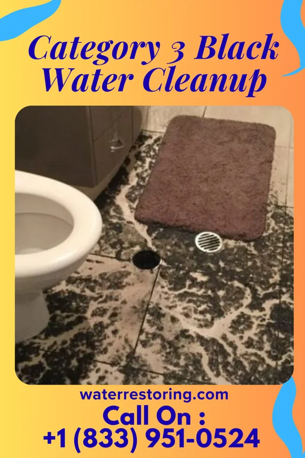 Category 3 Black Water Cleanup in Dublin, TX