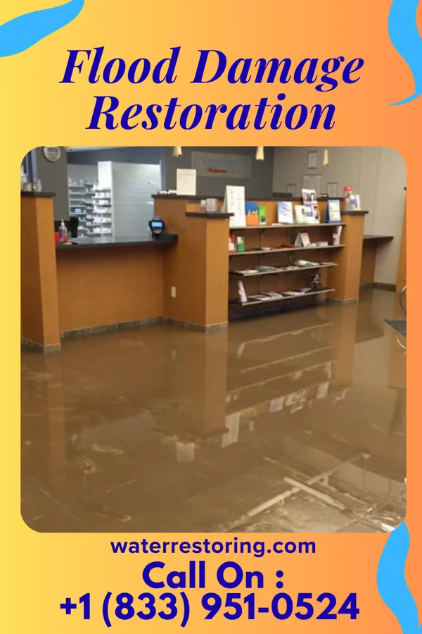 Flood Damage Restoration in Dublin, TX
