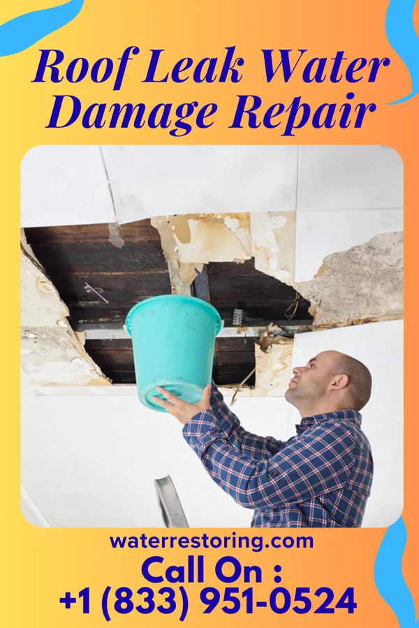 Roof Leak Water Damage Repair in Dublin, TX