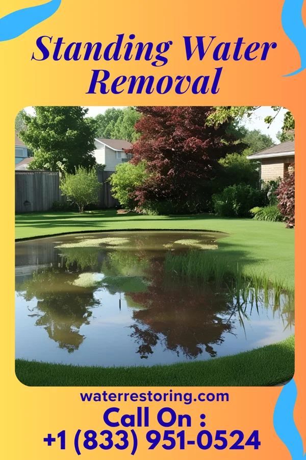 Standing Water Removal in Dublin, TX